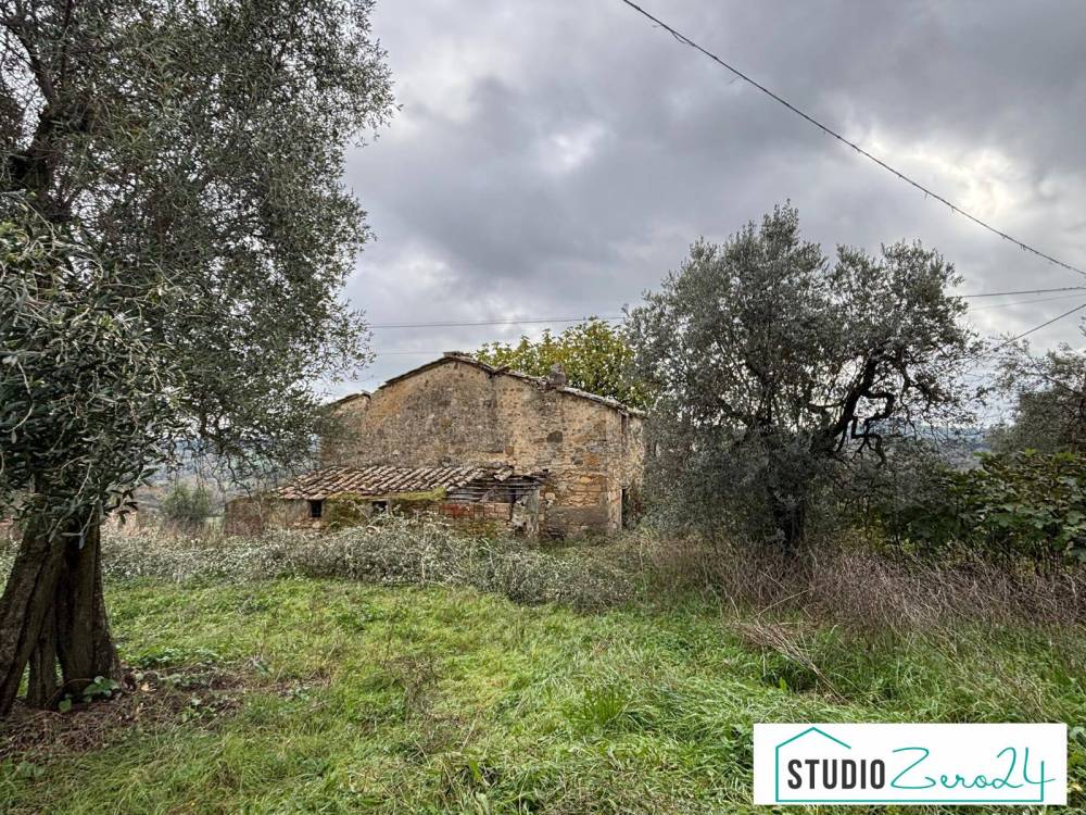 immagine annuncio 11 di 14