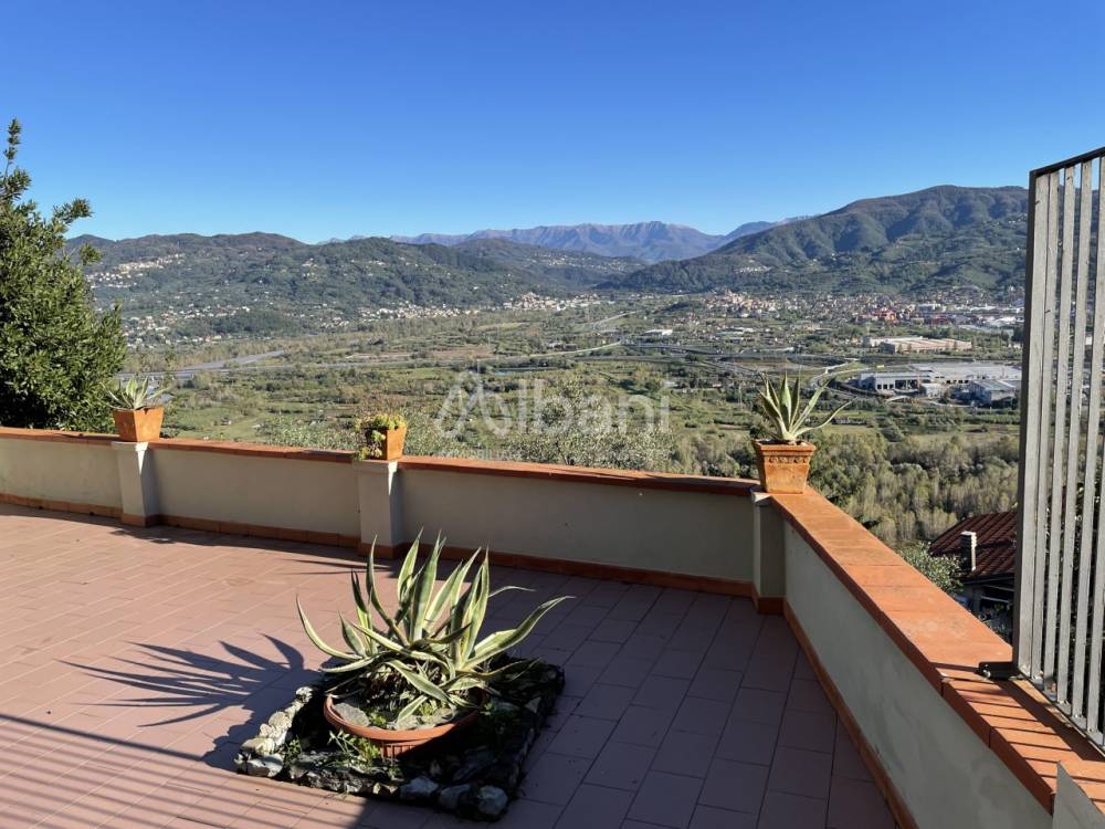 immagine annuncio 11 di 14