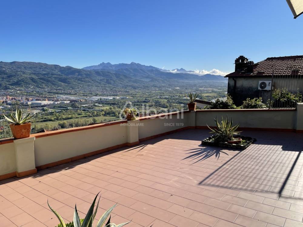 immagine annuncio 12 di 14