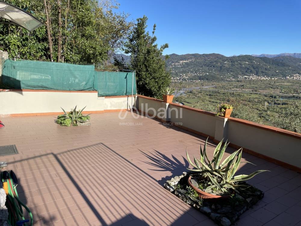 immagine annuncio 13 di 14