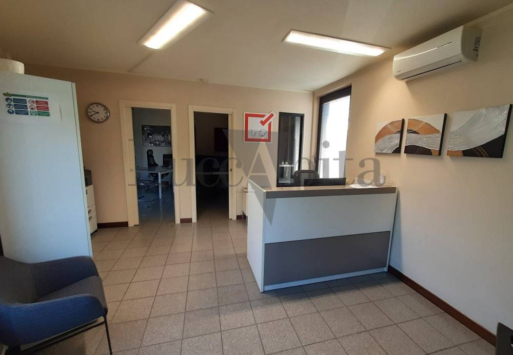 immagine annuncio 3 di 13