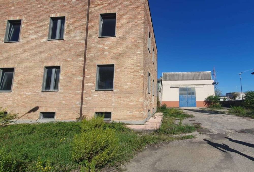 immagine annuncio 5 di 13