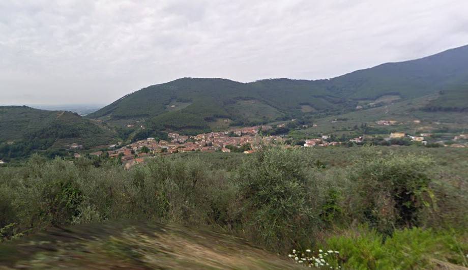 immagine annuncio 2 di 13