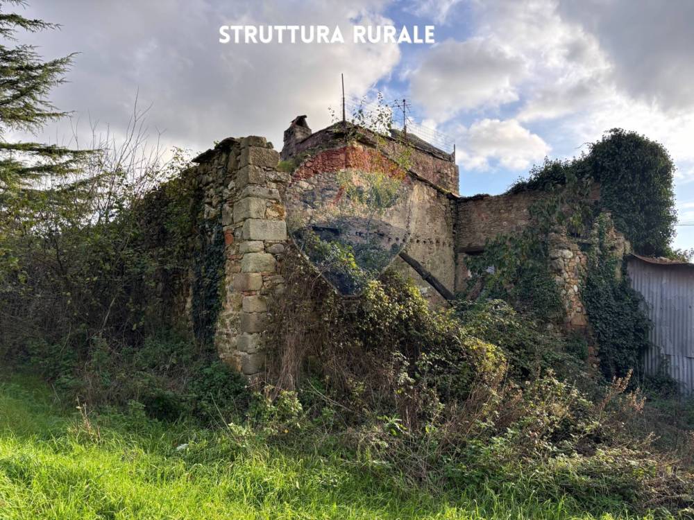 immagine annuncio 7 di 13