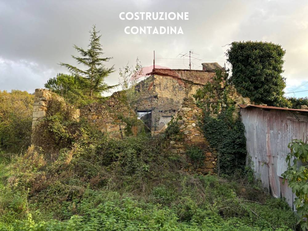 immagine annuncio 8 di 13
