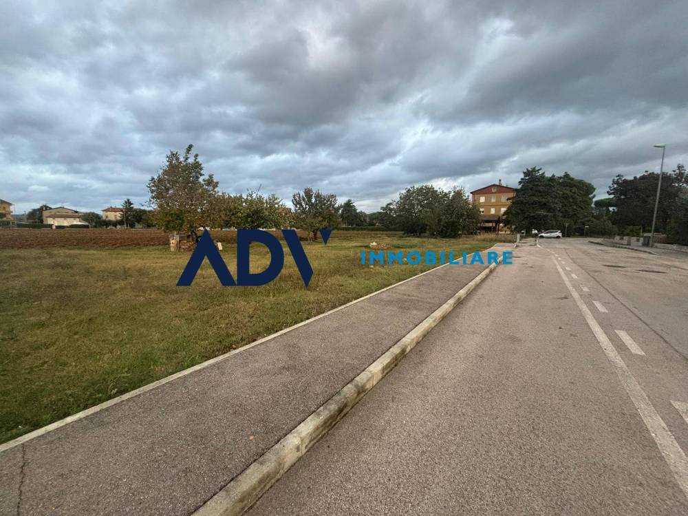 immagine annuncio 3 di 8
