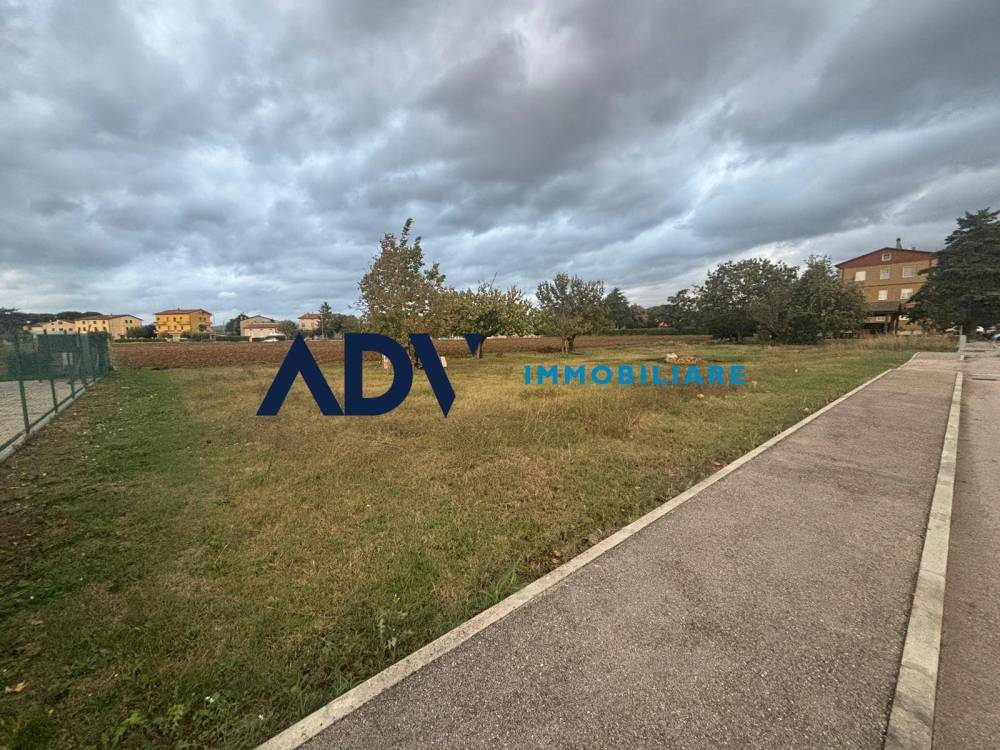 immagine annuncio 5 di 8
