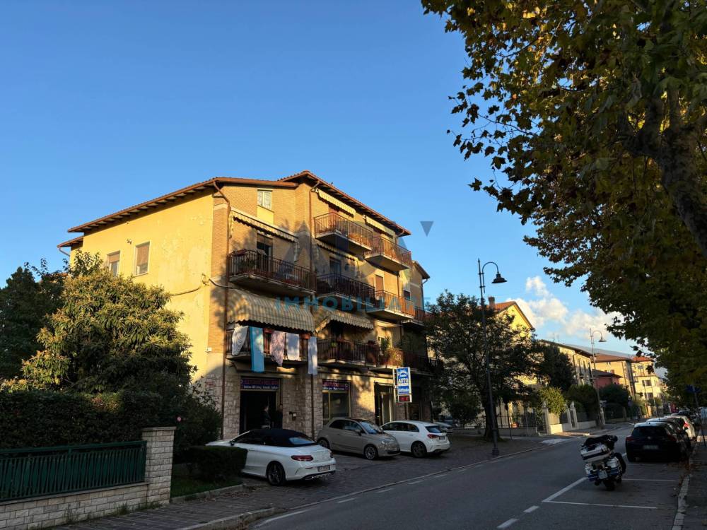 immagine annuncio 2 di 13