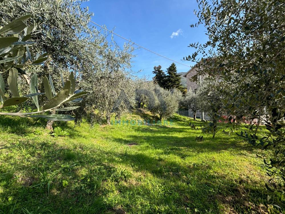 immagine annuncio 1 di 13