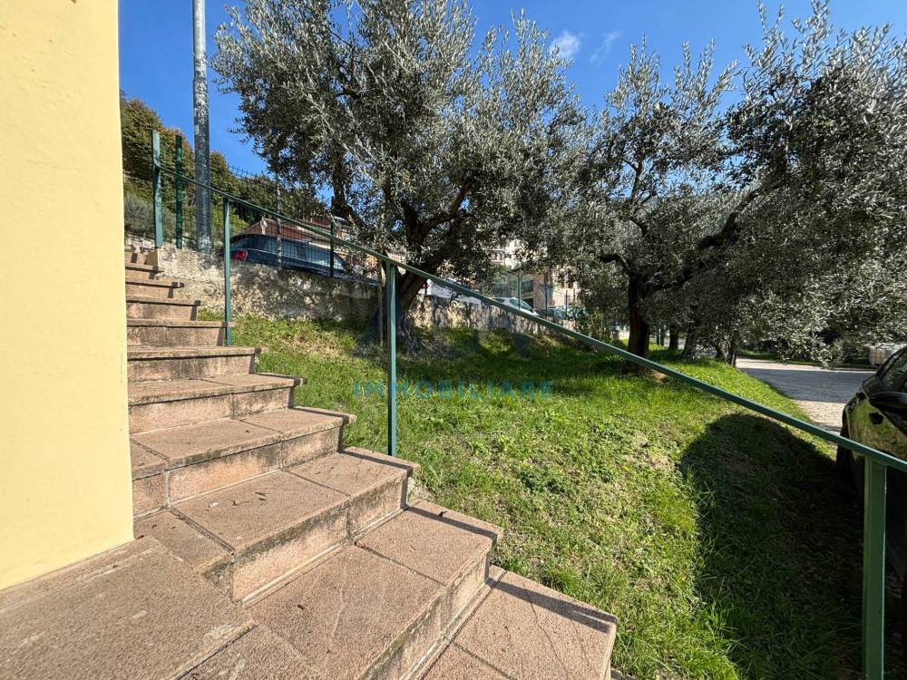 immagine annuncio 2 di 13