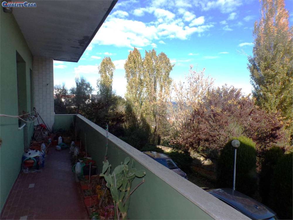 immagine annuncio 10 di 14