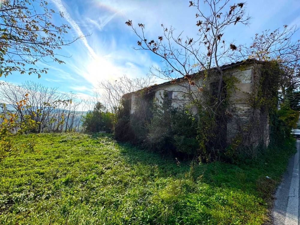 immagine annuncio 7 di 9