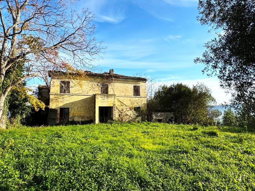 immagine annuncio 3 di 9