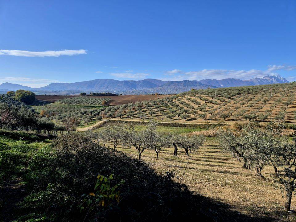 immagine annuncio 1 di 9