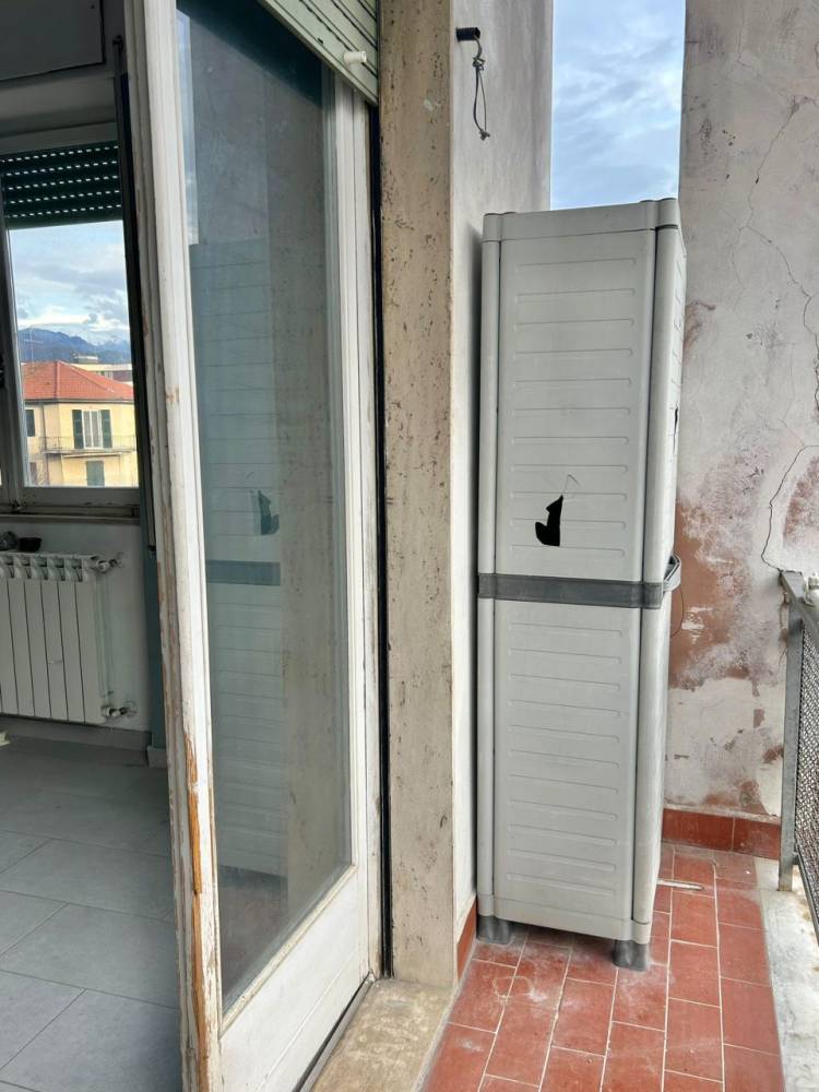 immagine annuncio 11 di 14