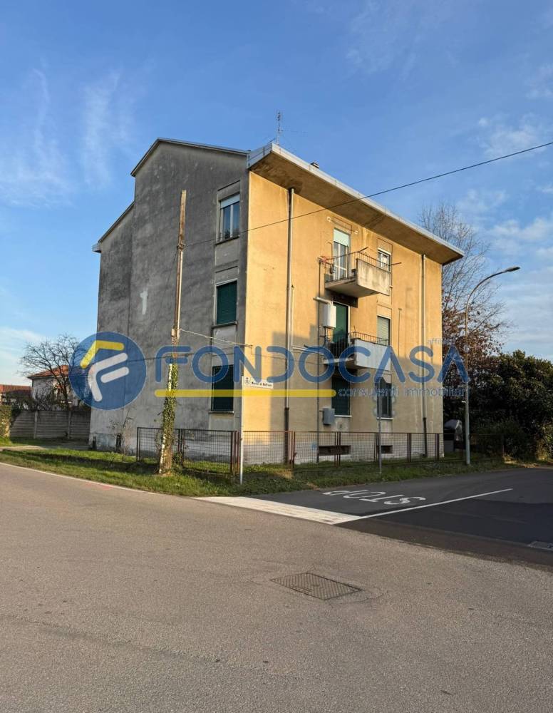 immagine annuncio 4 di 14