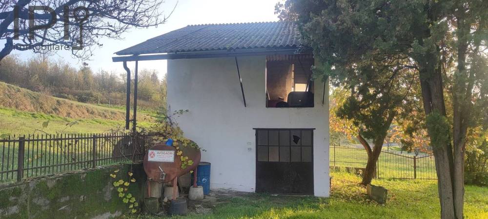 immagine annuncio 11 di 13