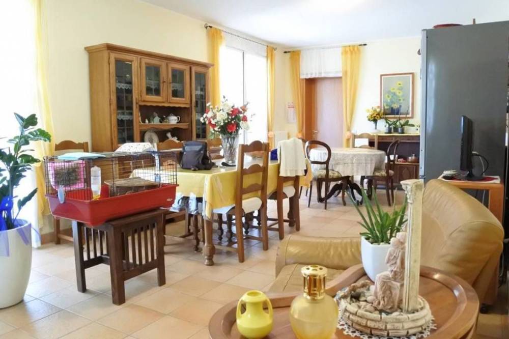 immagine annuncio 3 di 13