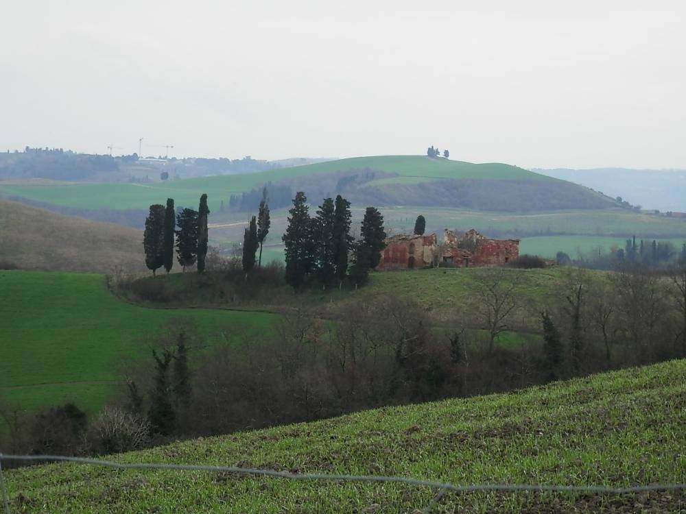 immagine annuncio 8 di 13