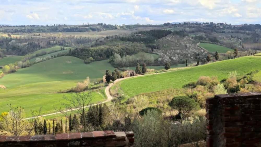 immagine annuncio 3 di 7