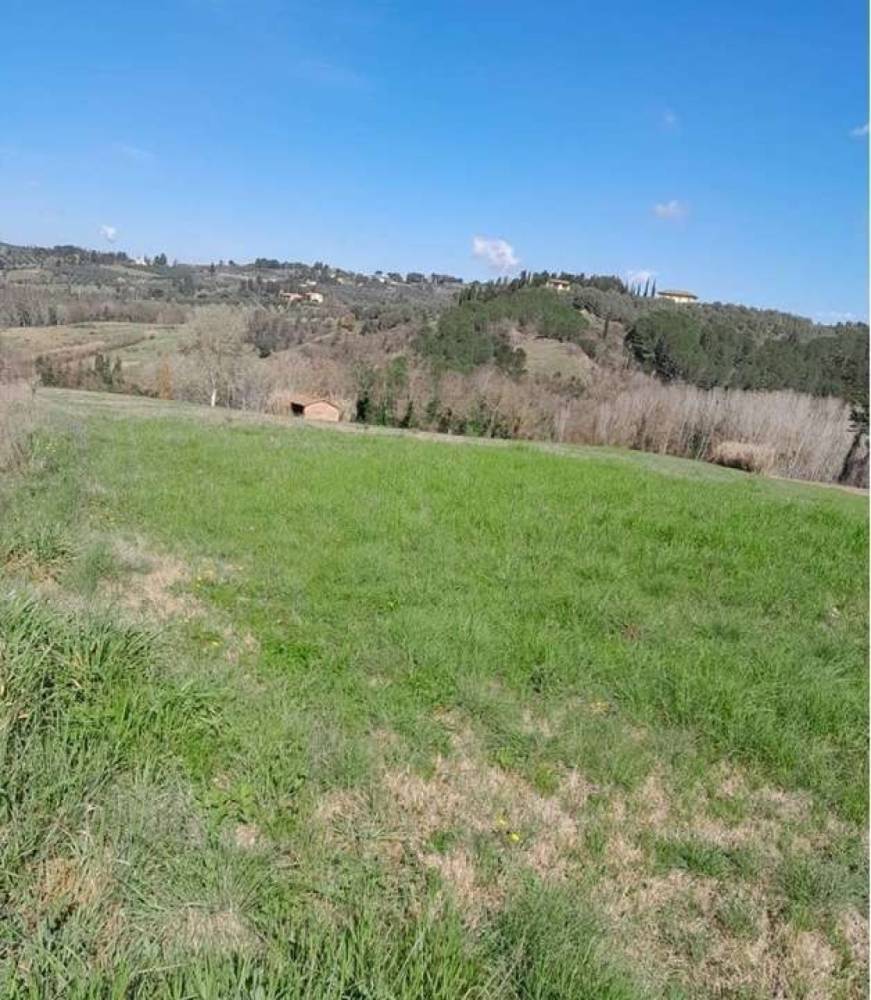 immagine annuncio 6 di 7
