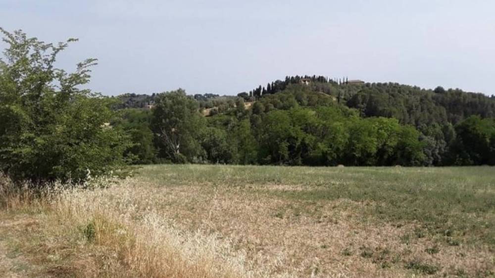 immagine annuncio 5 di 7