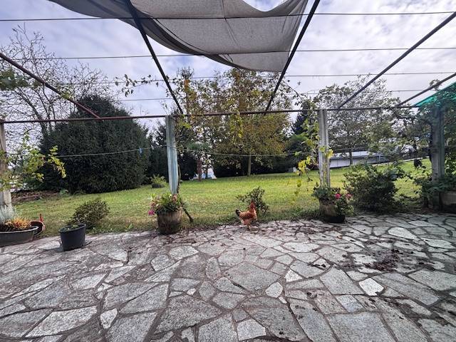 immagine annuncio 2 di 13