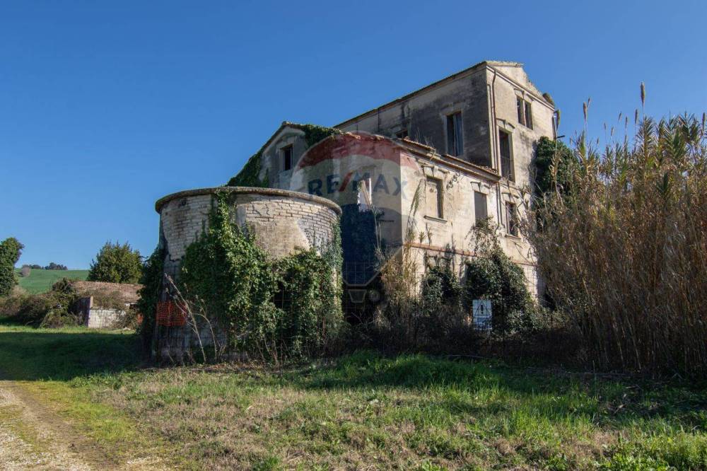 immagine annuncio 4 di 11