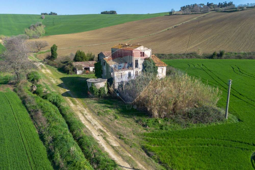 immagine annuncio 5 di 11