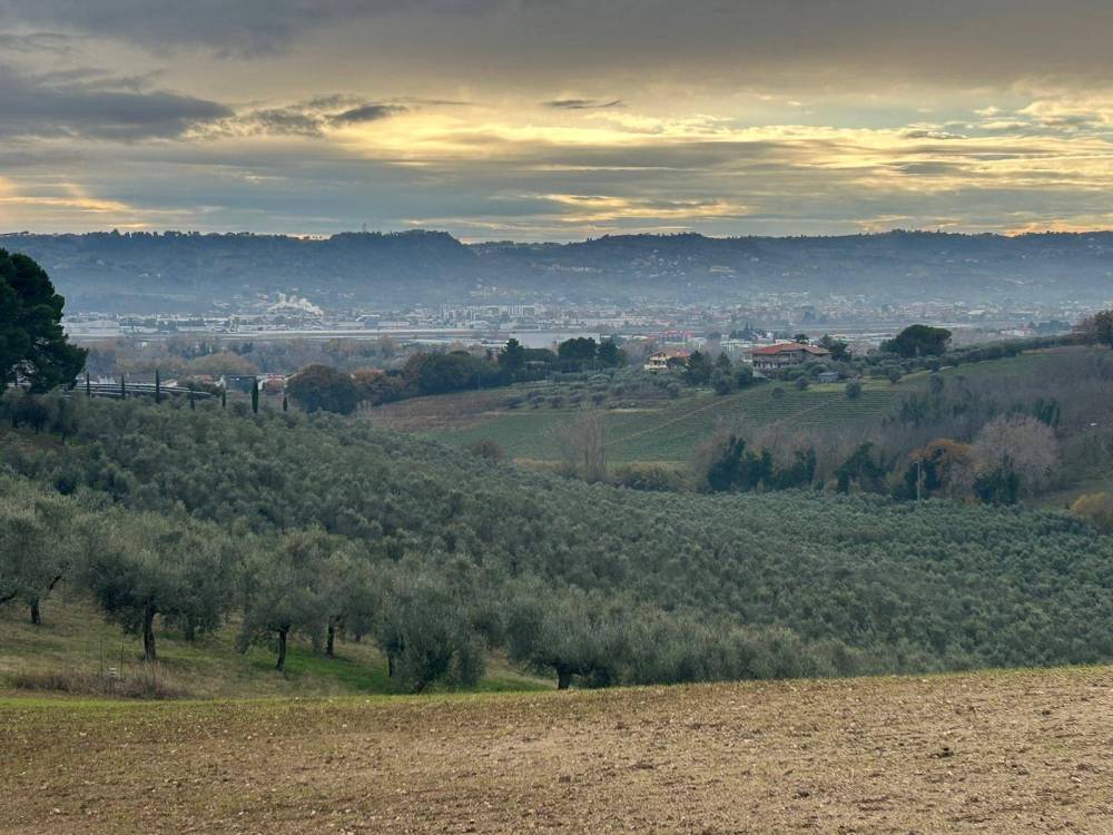 immagine annuncio 2 di 7