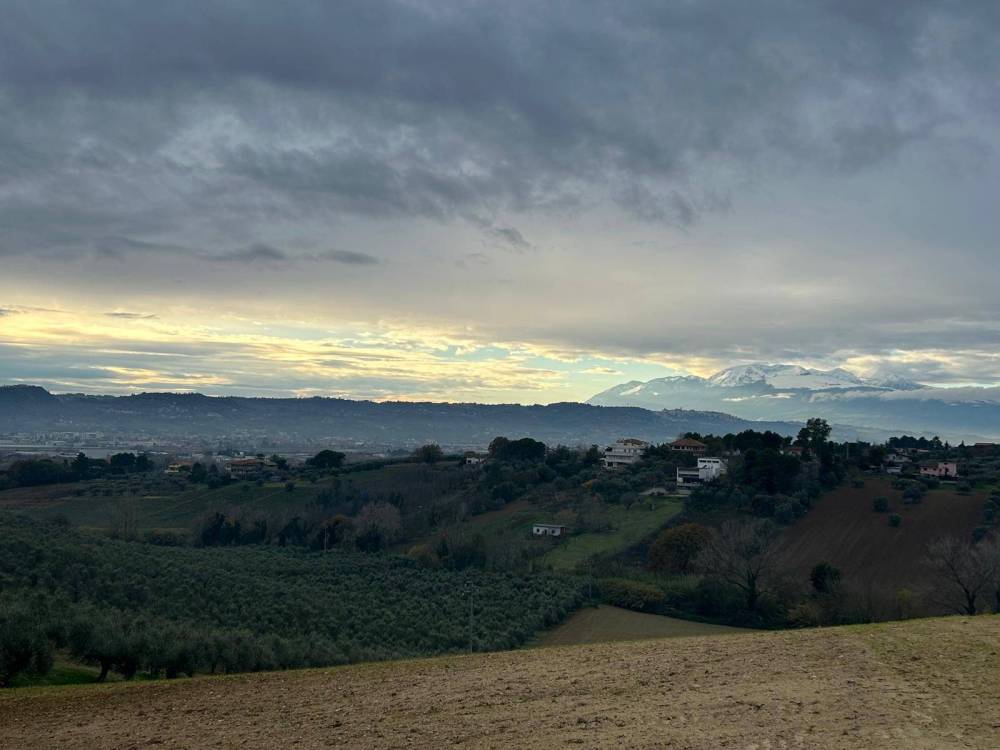 immagine annuncio 3 di 7