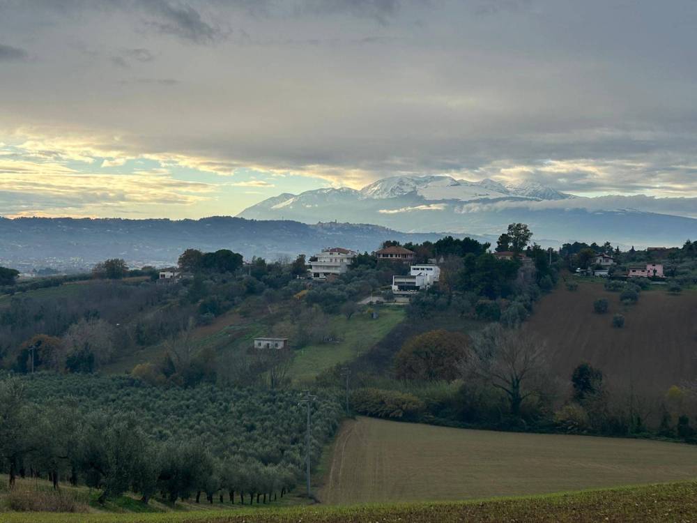 immagine annuncio 1 di 7