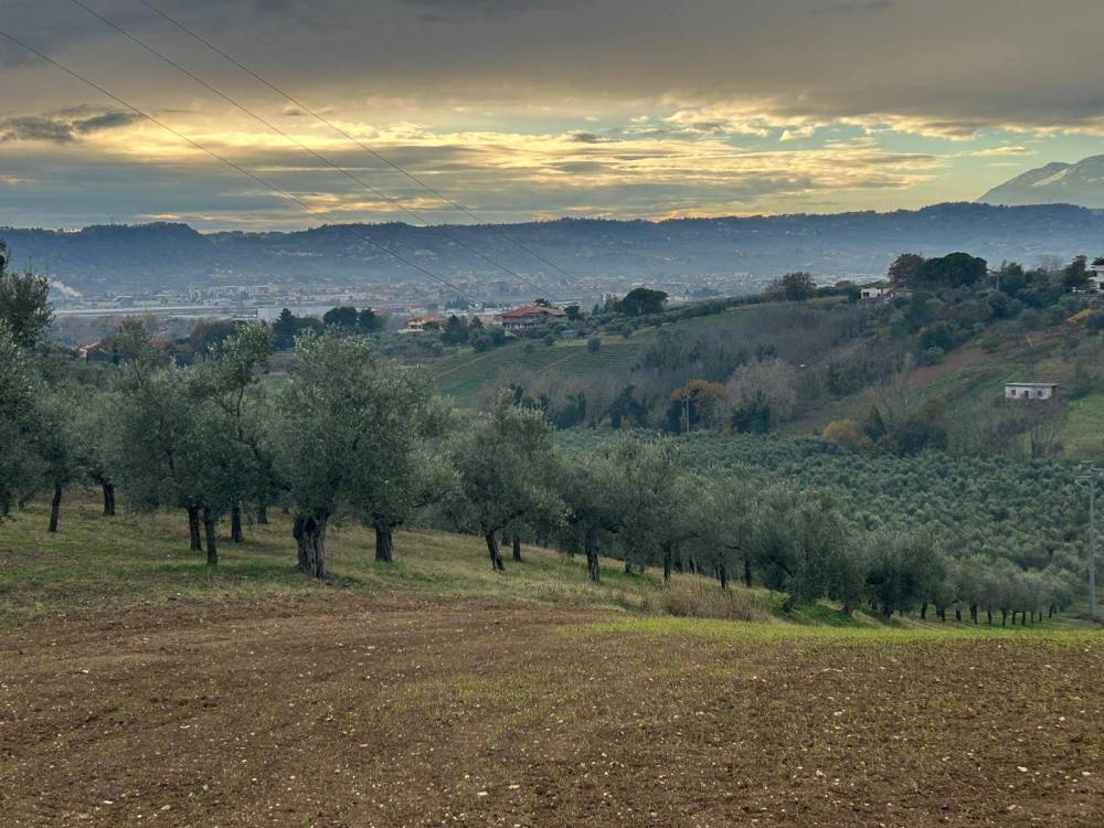 immagine annuncio 4 di 7