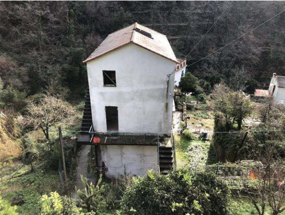 immagine annuncio 11 di 13