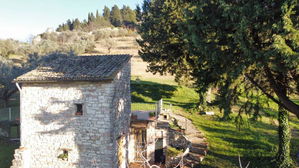 immagine annuncio 3 di 13