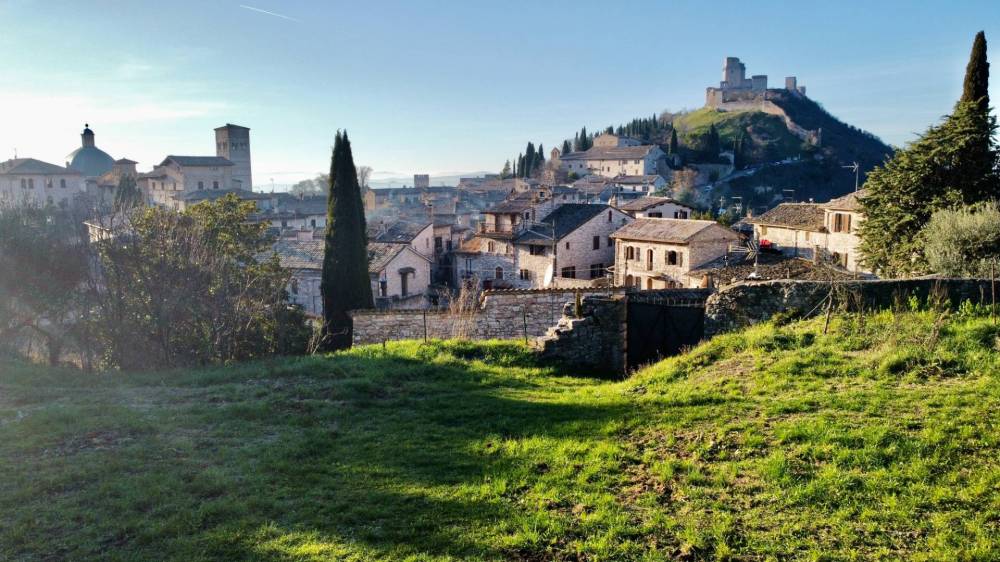 immagine annuncio 11 di 13