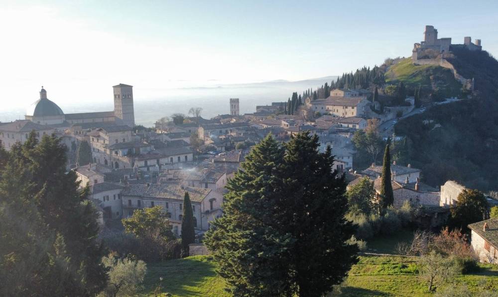 immagine annuncio 12 di 13