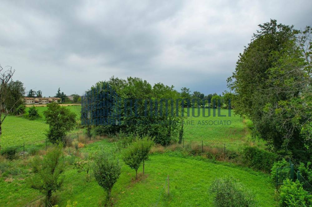 immagine annuncio 5 di 8