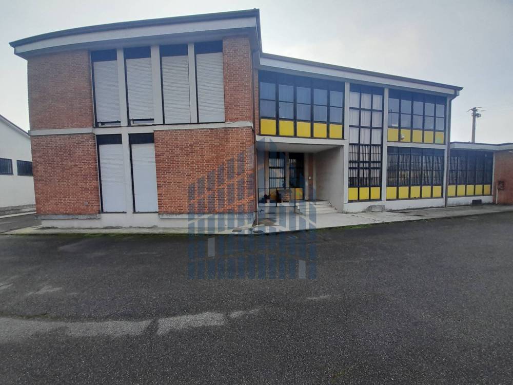 immagine annuncio 1 di 13