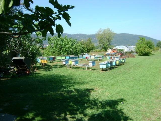 immagine annuncio 10 di 13