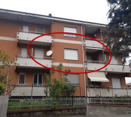 immagine annuncio 5 di 8