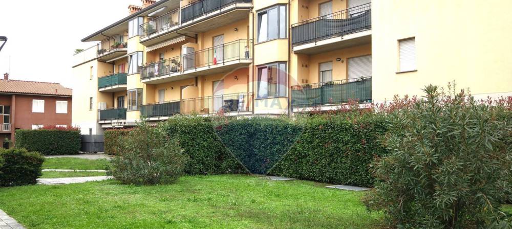 immagine annuncio 5 di 11