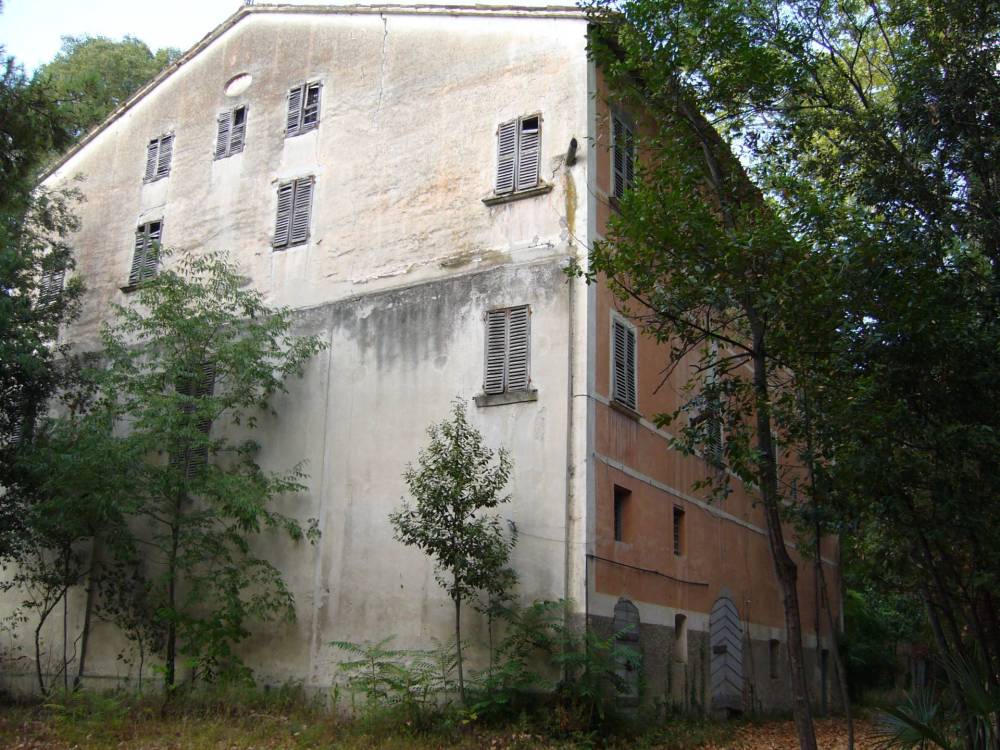 immagine annuncio 6 di 13
