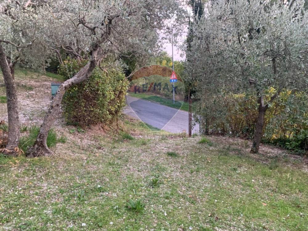immagine annuncio 7 di 13