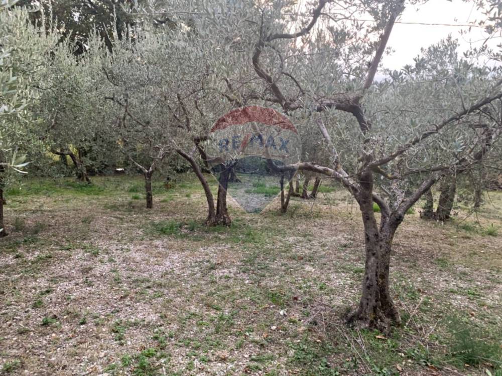 immagine annuncio 8 di 13