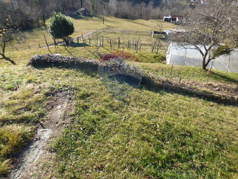 immagine annuncio 5 di 7