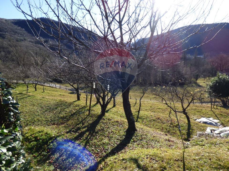 immagine annuncio 4 di 7