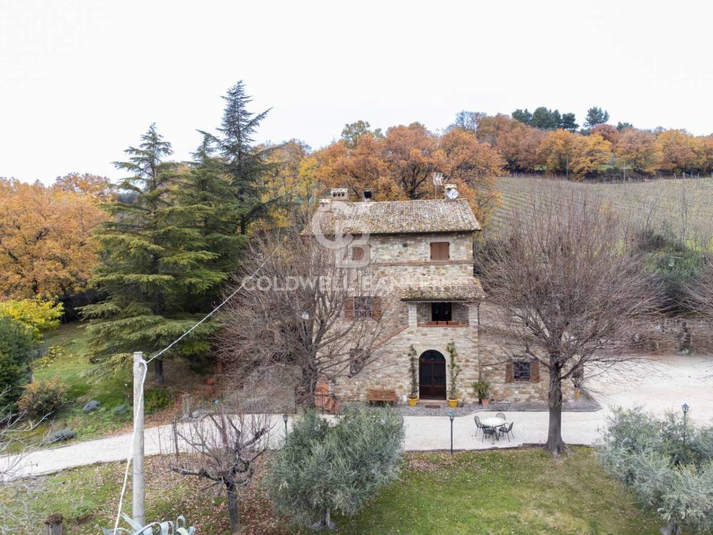 immagine annuncio 3 di 13