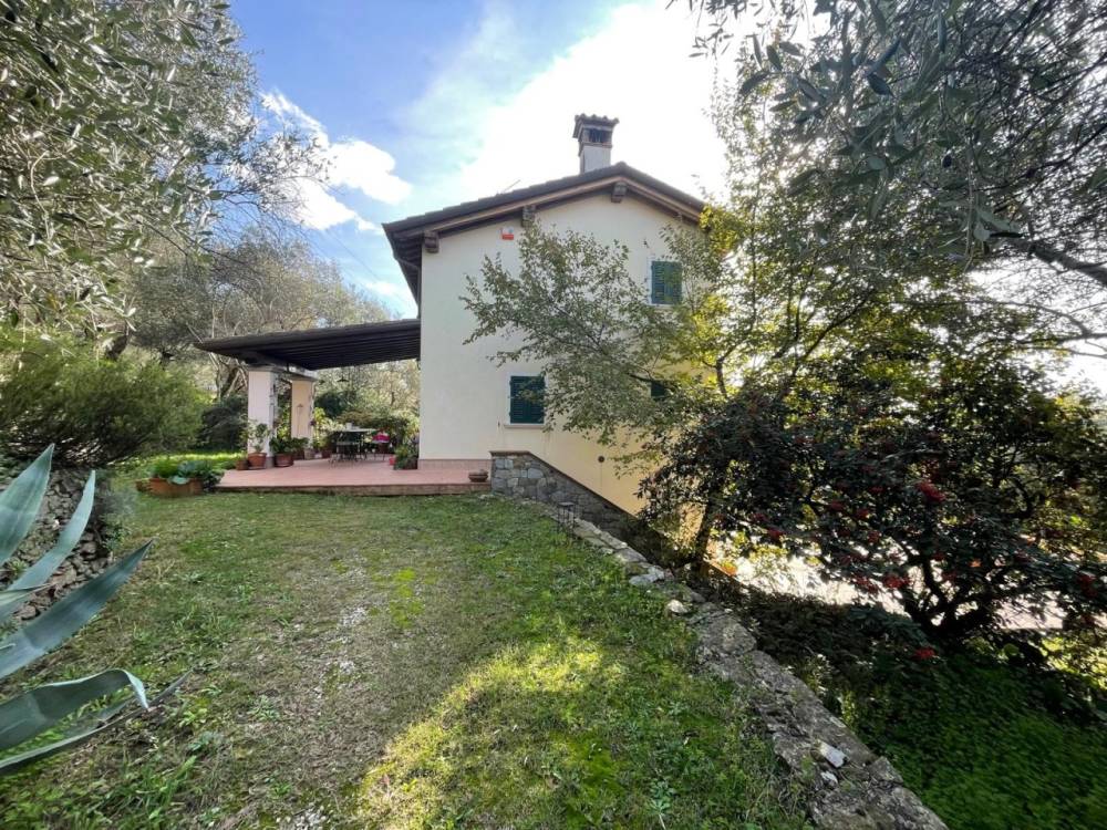 immagine annuncio 11 di 13