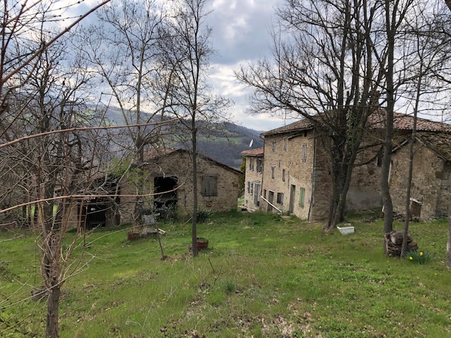immagine annuncio 3 di 4